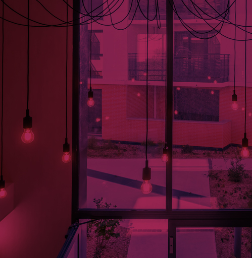 pinkB pinkB